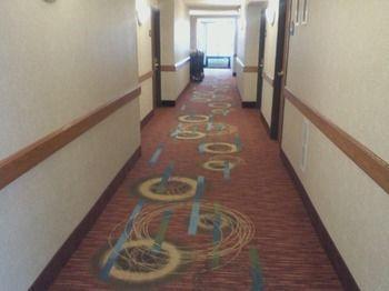 Wingate By Wyndham Hotel